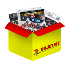 Budget Panini Trading Cards mystery blind box