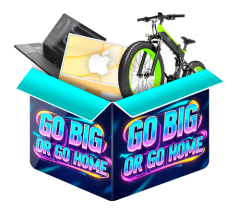 Go Big Or Go Home mystery blind box