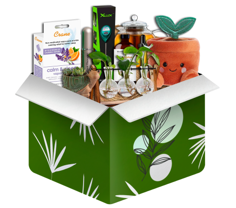 Plants Lover mystery blind box