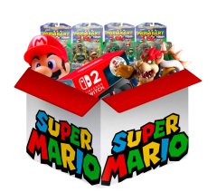 Super Mario mystery blind box