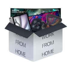 Work From Home Survival mystery blind box